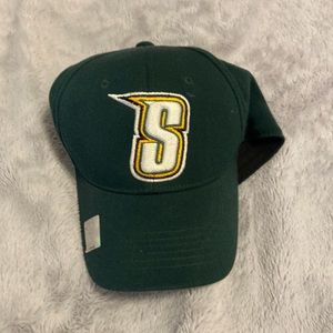 Siena college hat cap